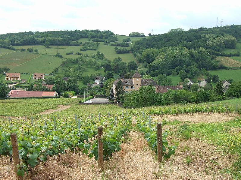 2010-05- (78).JPG